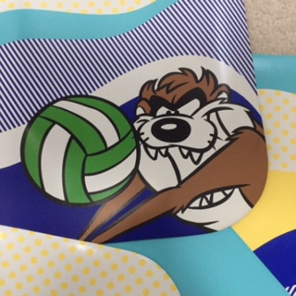 Warner Brothers - Looney Tunes Cartoon 4 Placemats – VINTAGE Y2K - Picture 4 of 13